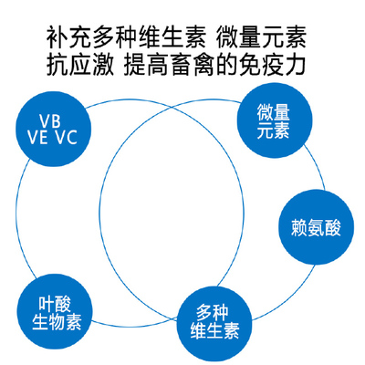 維生素添加劑 多維復(fù)合維生素水溶性2008金維它可飲水可拌料水產(chǎn)多維